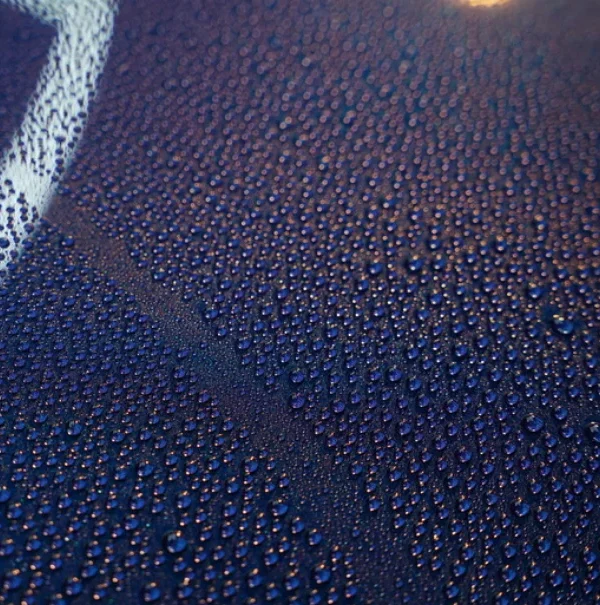 Blen spray 4